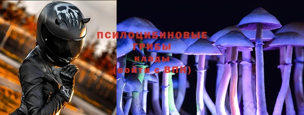 сатива Зеленодольск